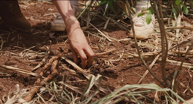 Wide shot frame from Jurassic Park — standing, bed, hand
