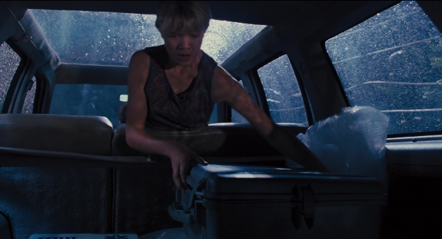 seria-3878458.jpg