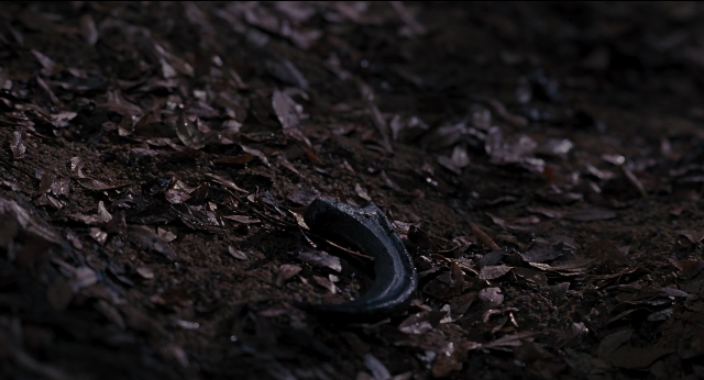 Wide shot frame from Jurassic Park — bed, animal