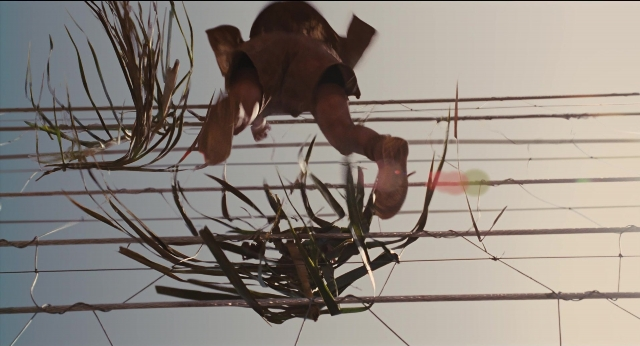 Wide shot frame from Jurassic Park — animal, bird
