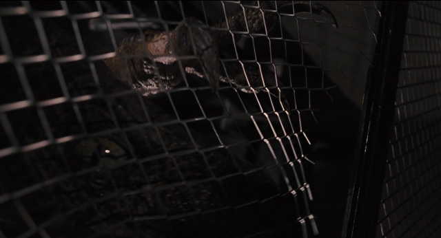 Wide shot frame from Jurassic Park — animal, bird