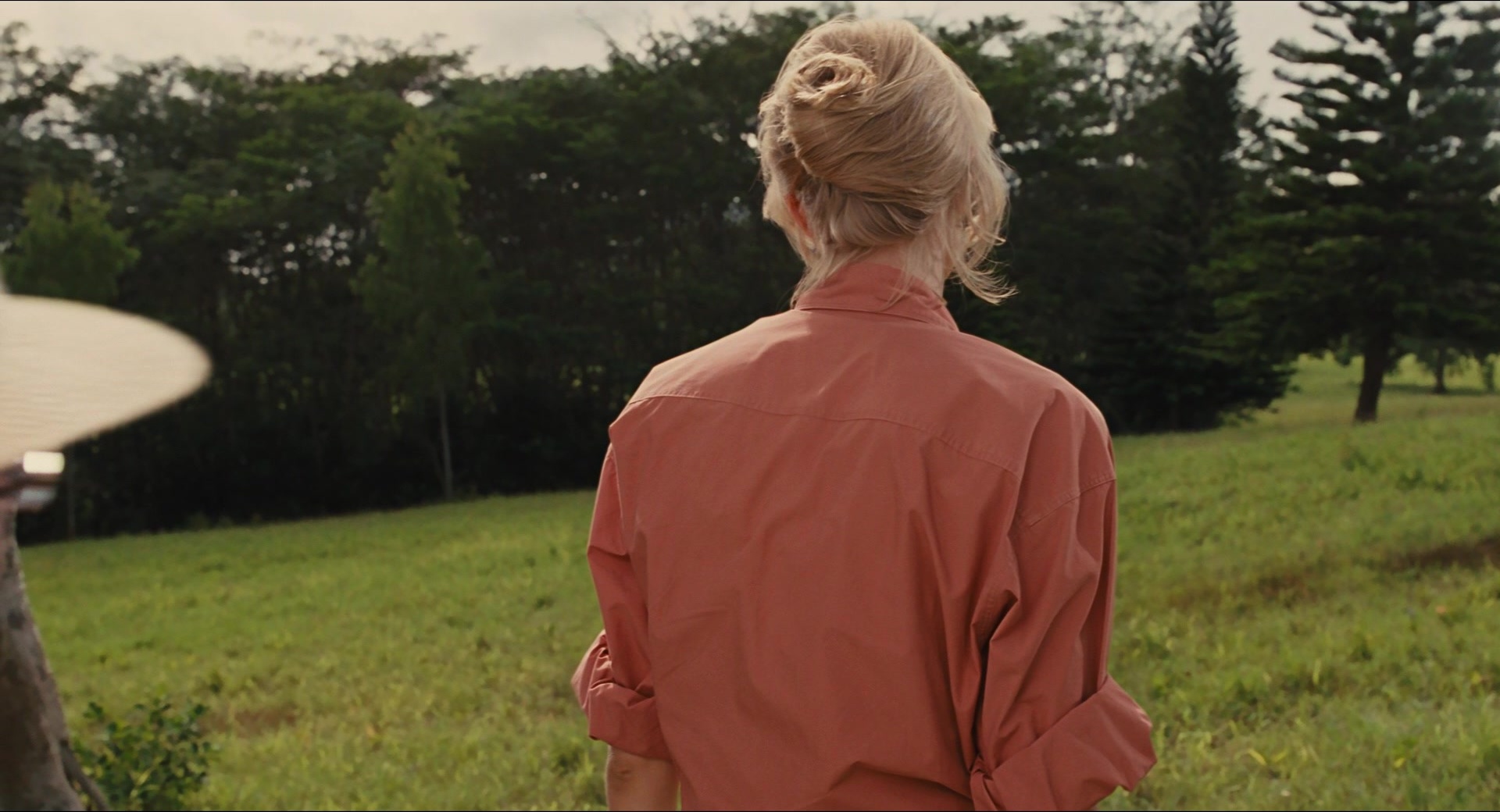 Jurassic Park (1993), wide, 1.85:1 — film still