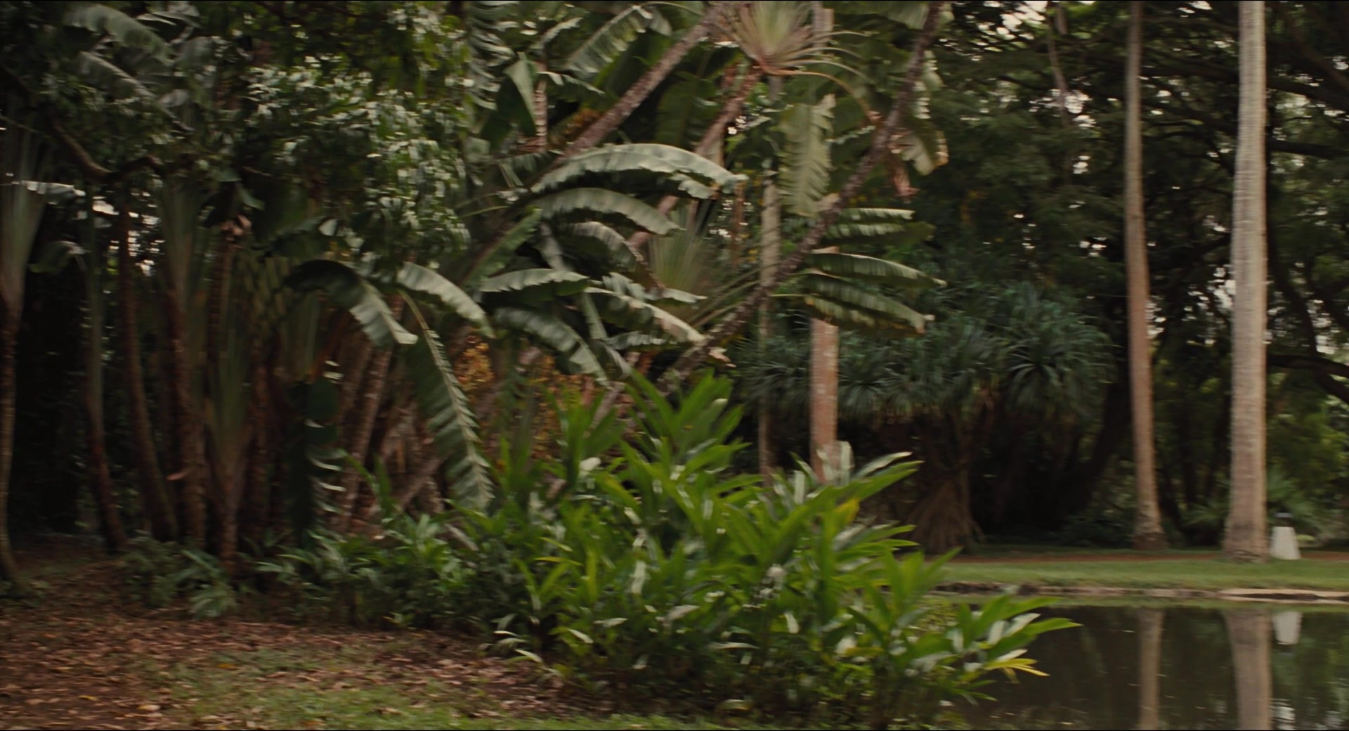 Jurassic Park (1993), wide, 1.85:1 — film still