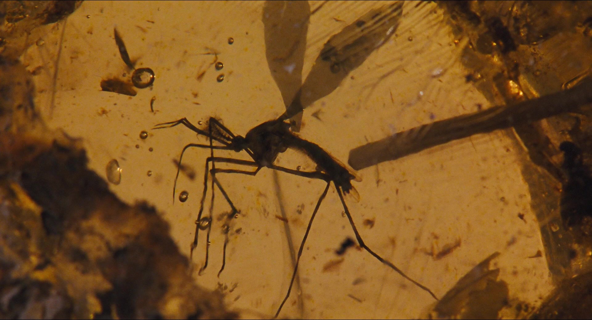 Jurassic Park (1993), wide, 1.85:1 — film still