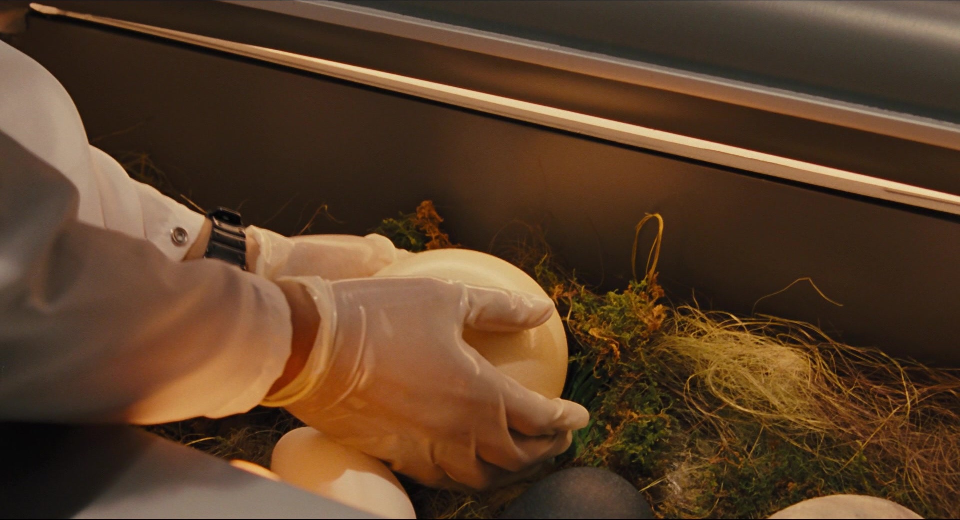 Jurassic Park (1993), wide, 1.85:1 — film still