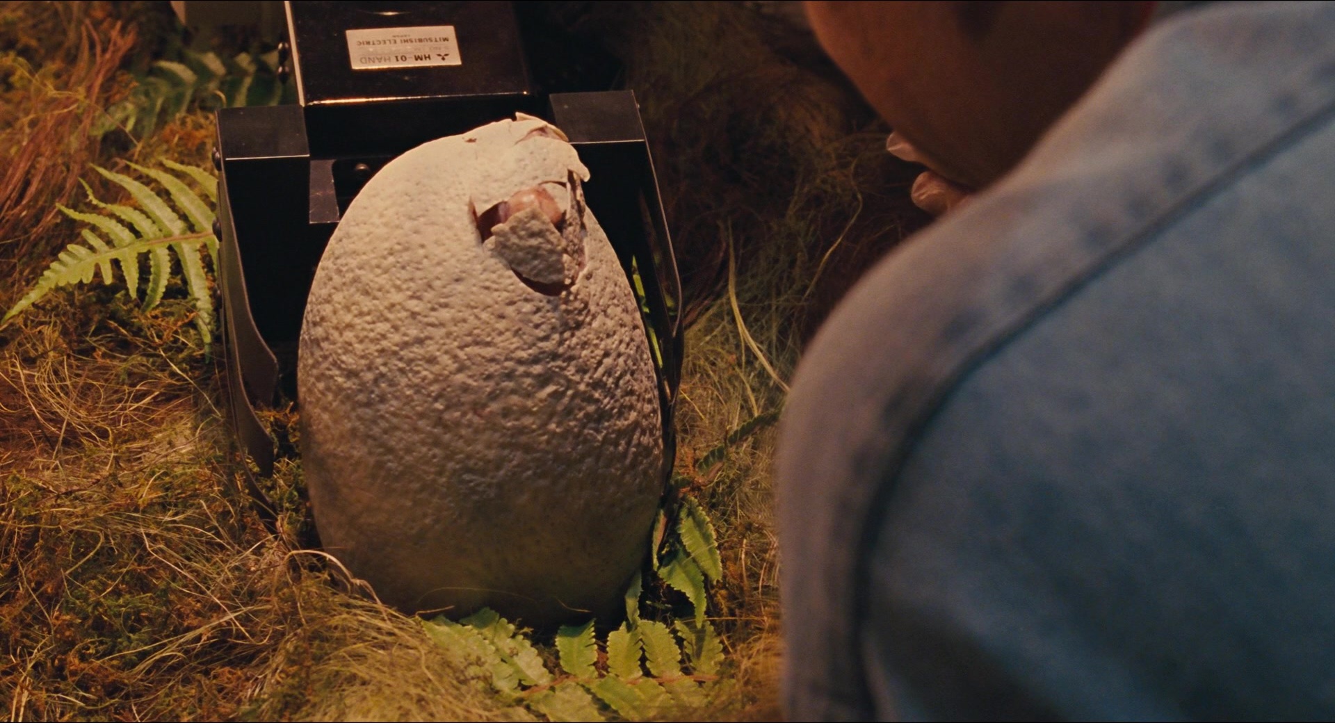 Jurassic Park (1993), wide, 1.85:1 — film still