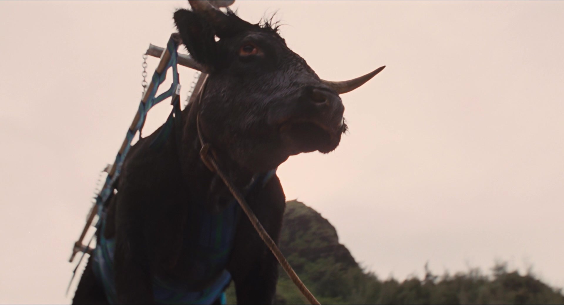 Jurassic Park (1993), unknown, 1.85:1 — film still