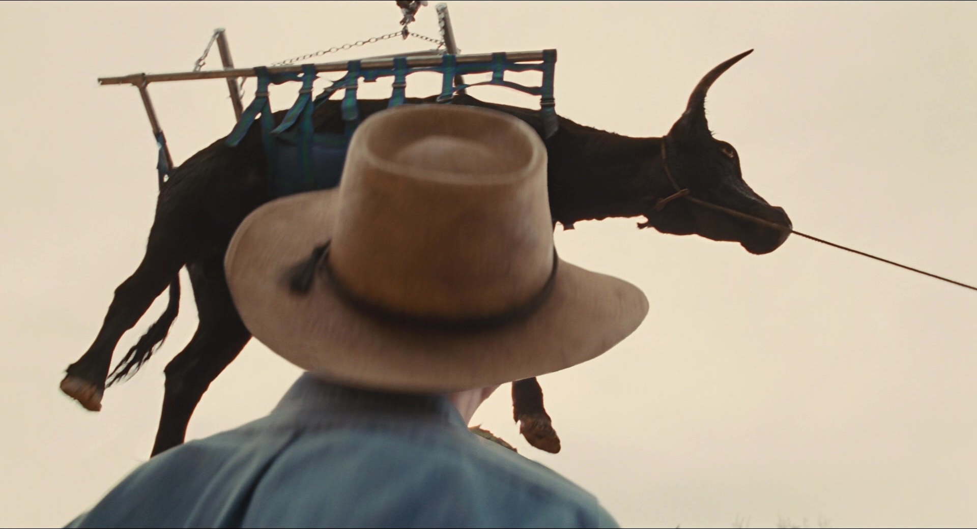 Jurassic Park (1993), unknown, 1.85:1 — film still