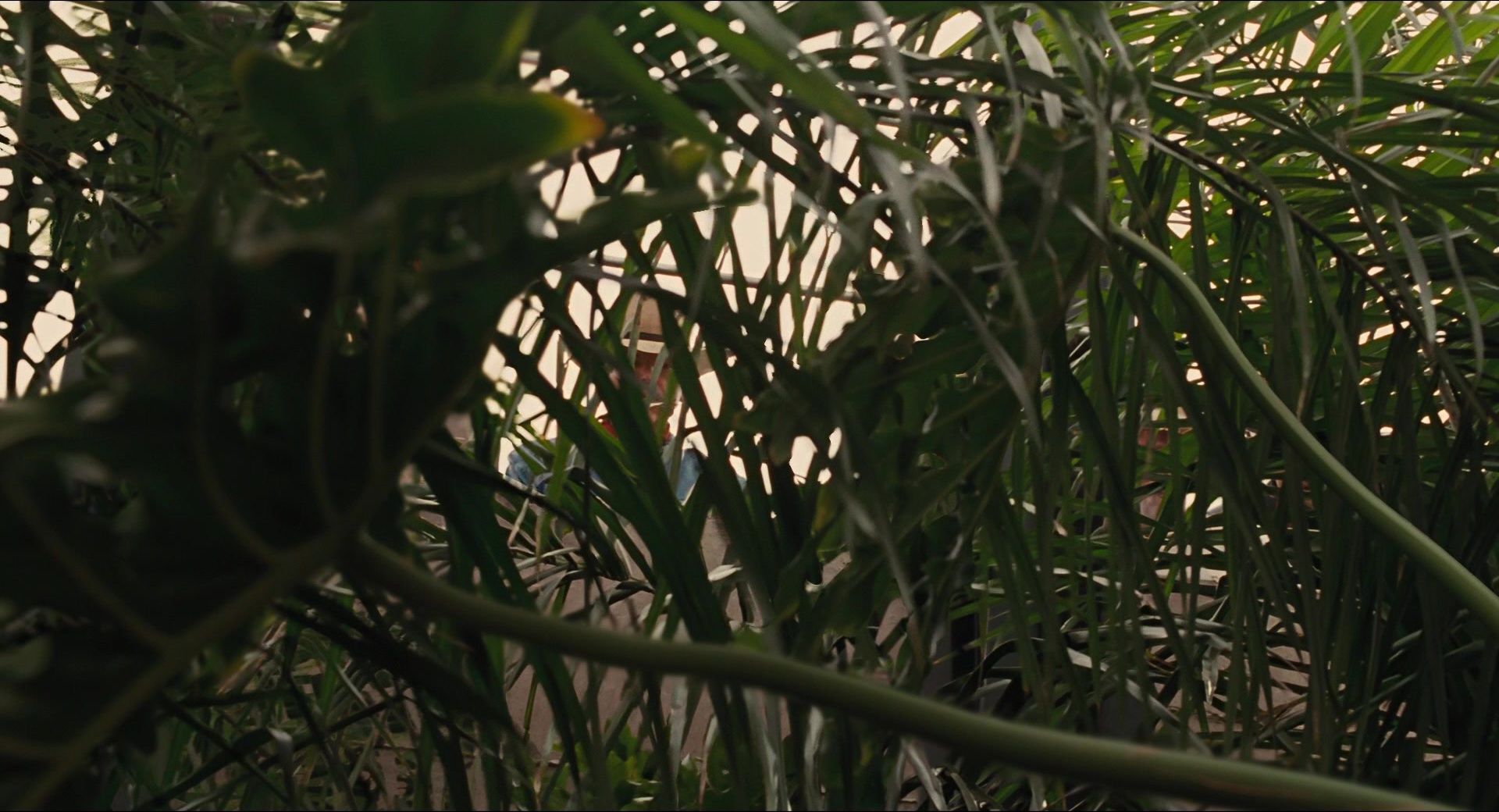 Jurassic Park (1993), wide, 1.85:1 — film still