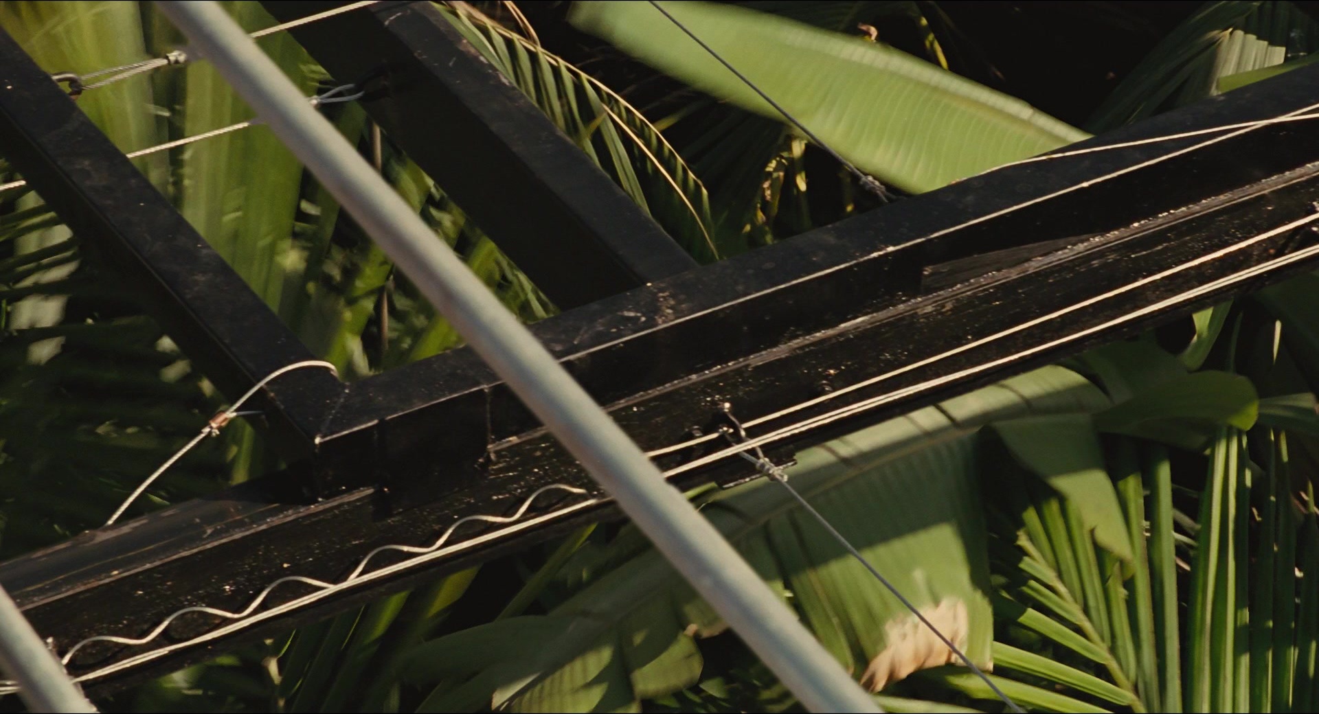 Jurassic Park (1993), unknown, 1.85:1 — film still