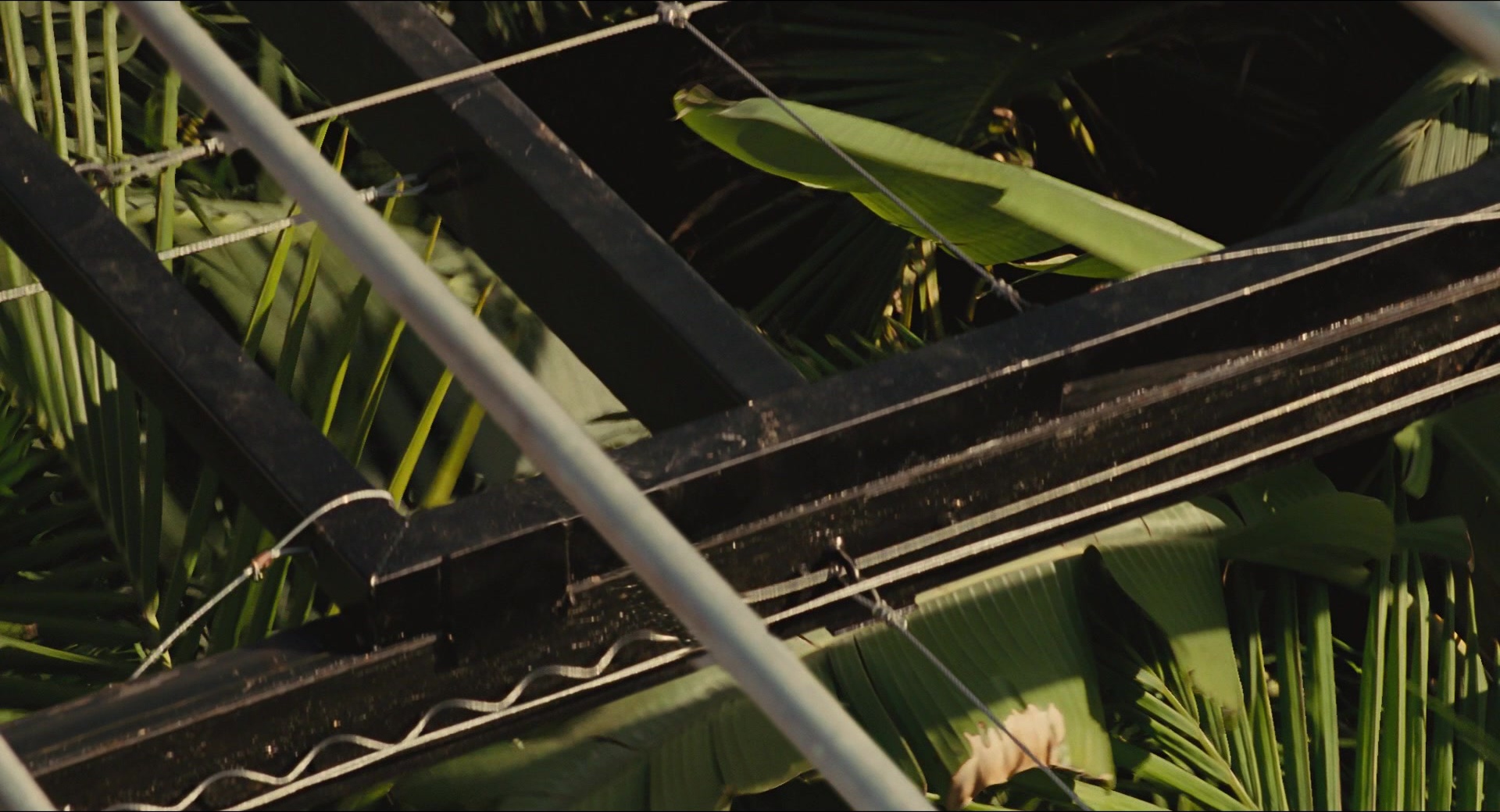 Jurassic Park (1993), wide, 1.85:1 — film still