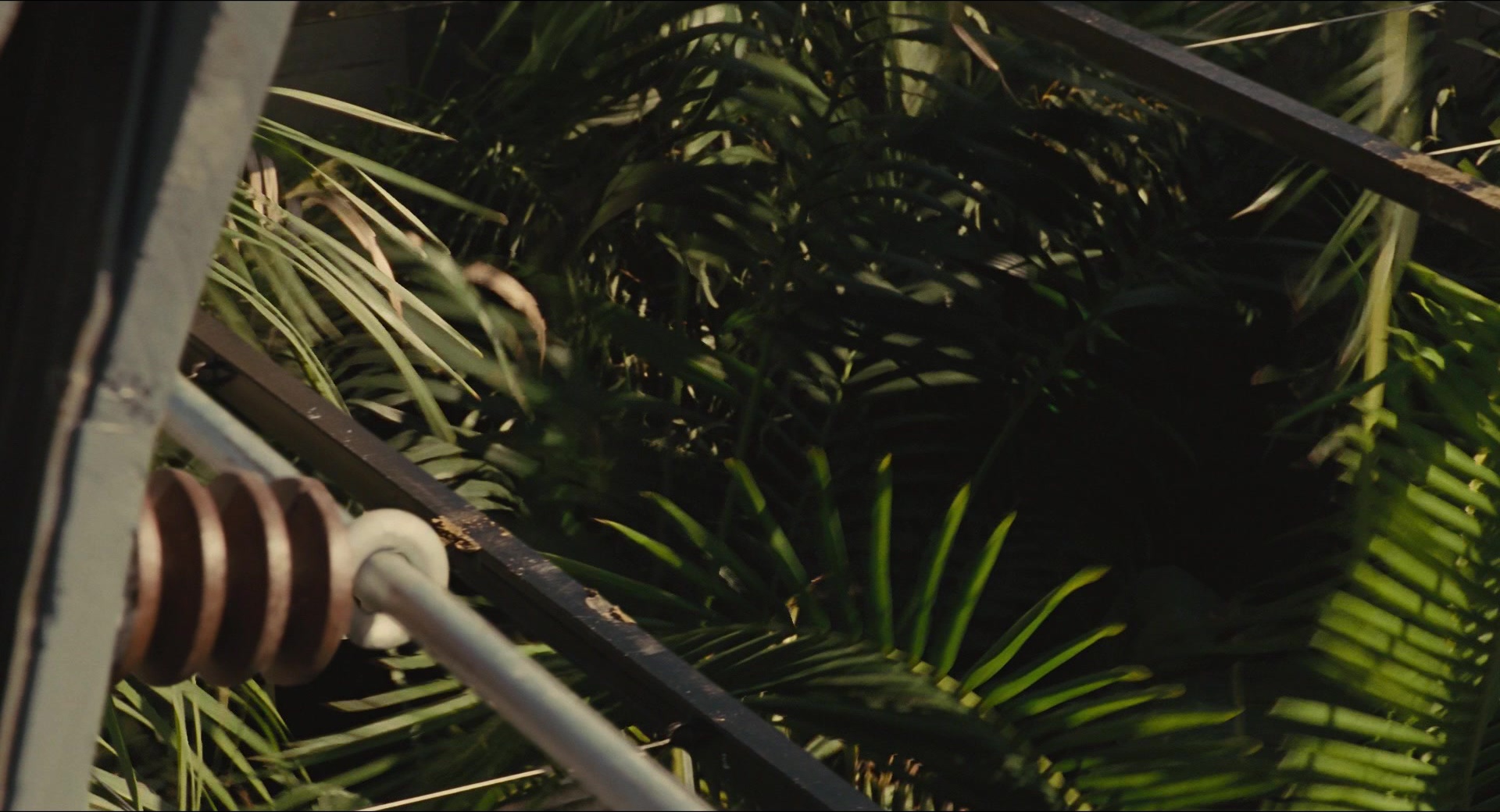 Jurassic Park (1993), wide, 1.85:1 — film still