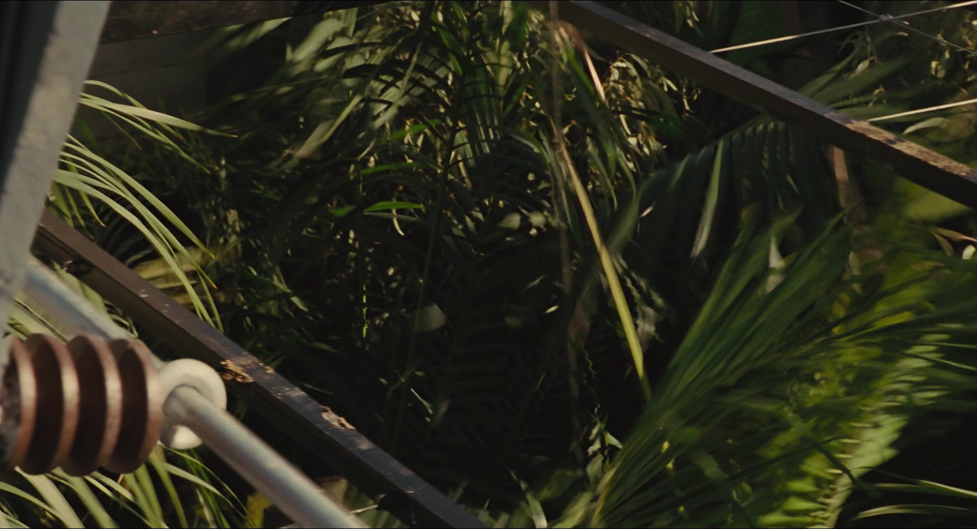 Jurassic Park (1993), wide, 1.85:1 — film still
