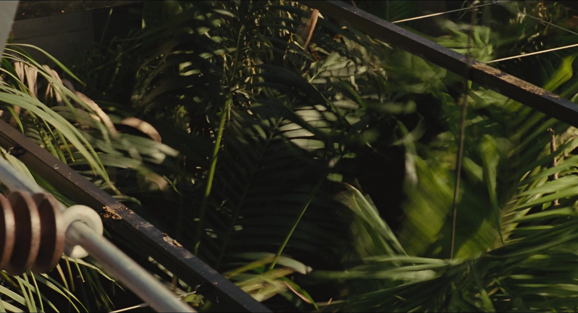Jurassic Park (1993), wide, 1.85:1 — film still