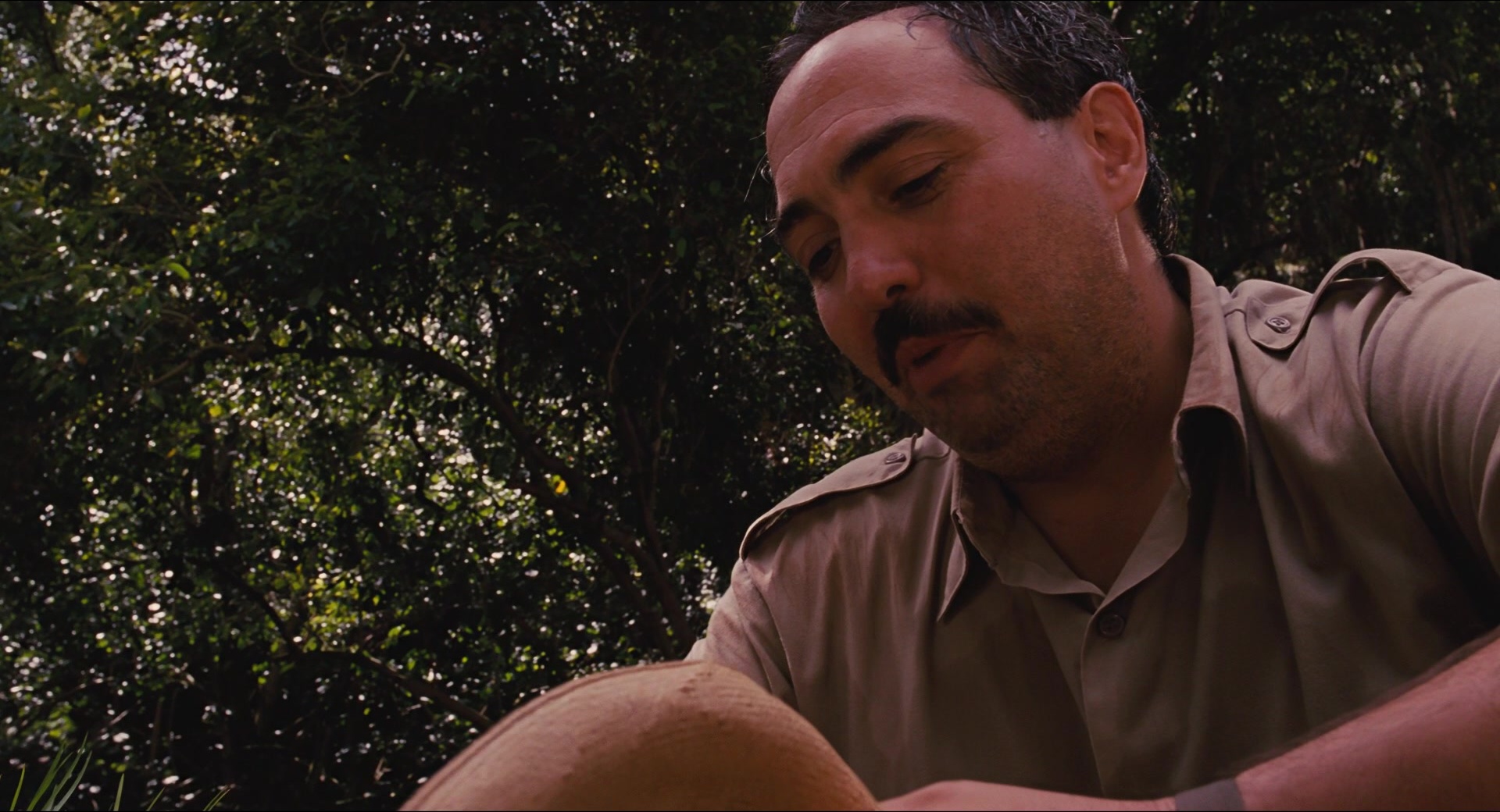 Jurassic Park (1993), wide, 1.85:1 — film still