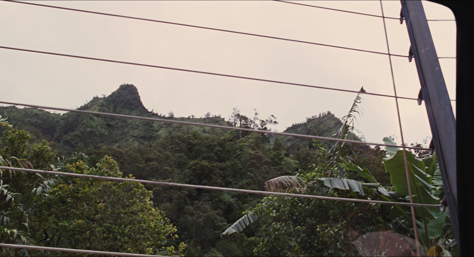 Jurassic Park (1993), wide, 1.85:1 — film still