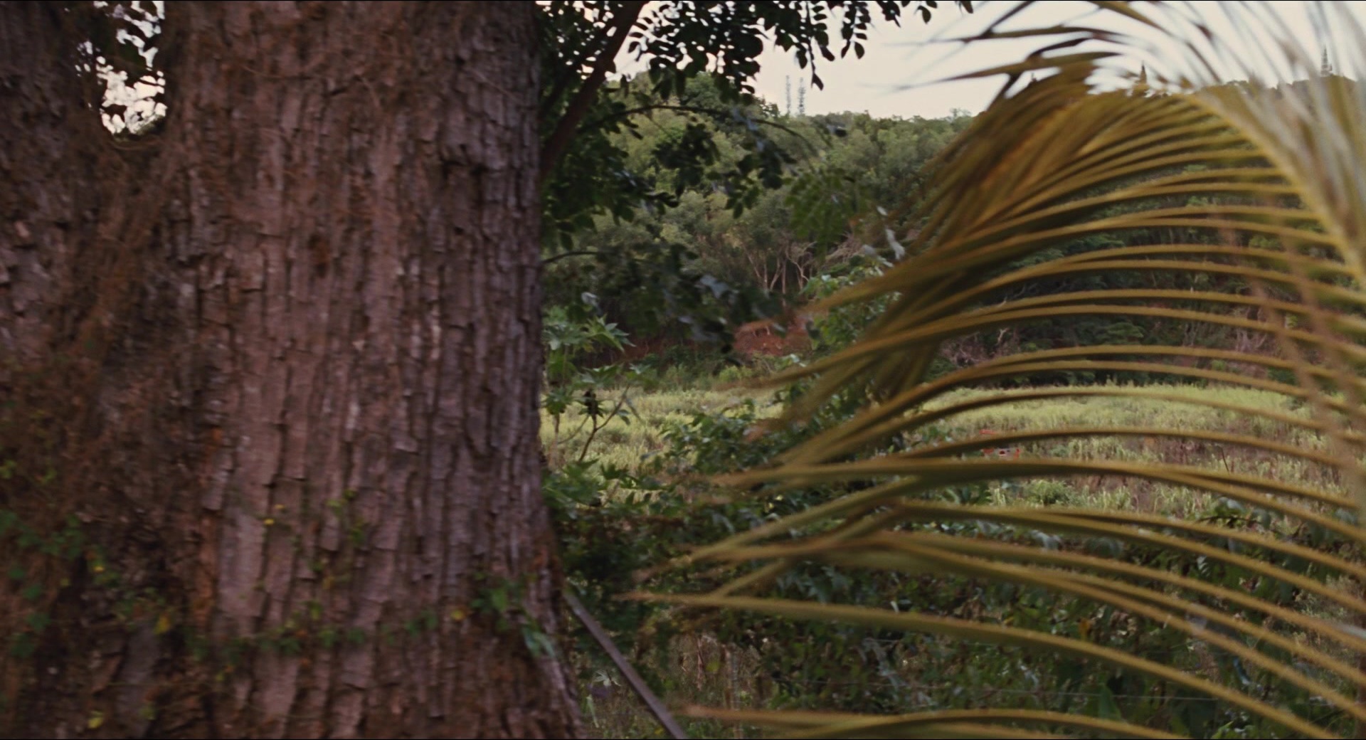 Jurassic Park (1993), wide, 1.85:1 — film still