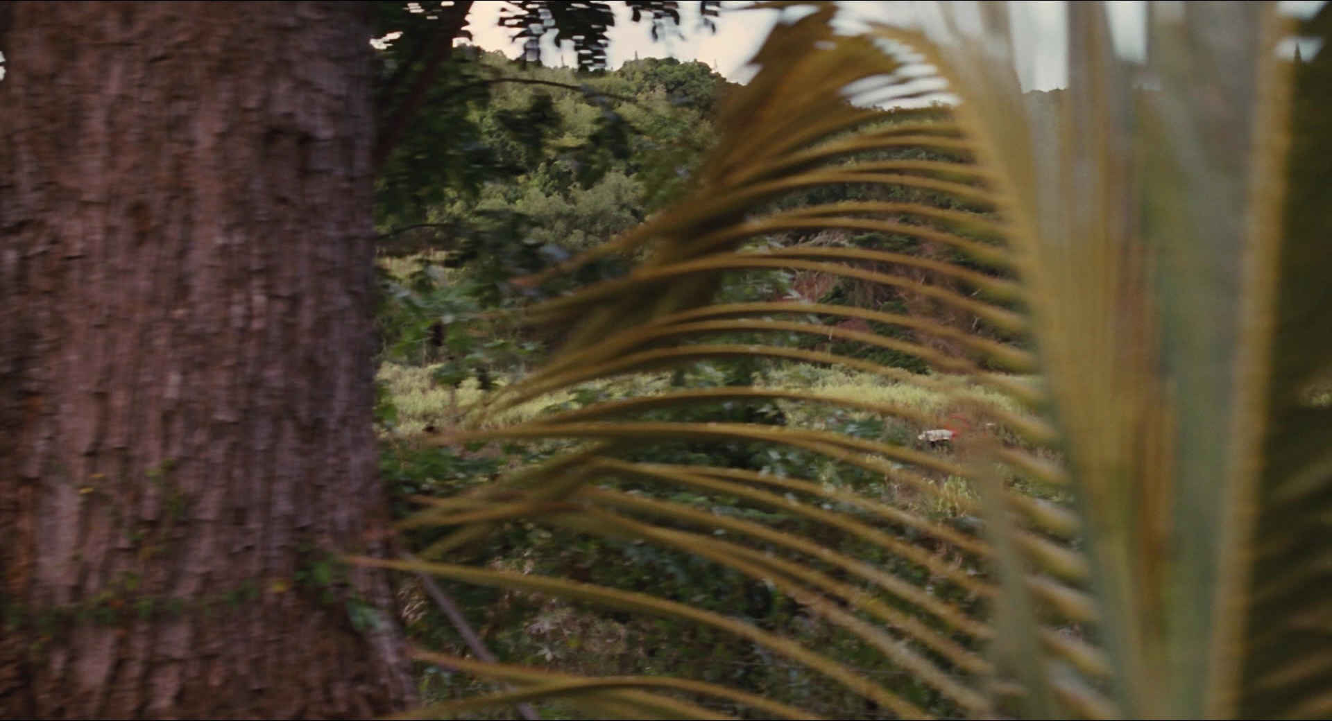 Jurassic Park (1993), wide, 1.85:1 — film still
