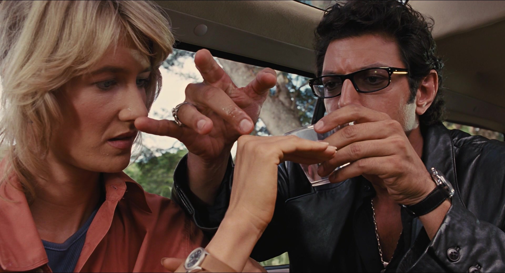 Jurassic Park (1993), medium, 1.85:1 — film still