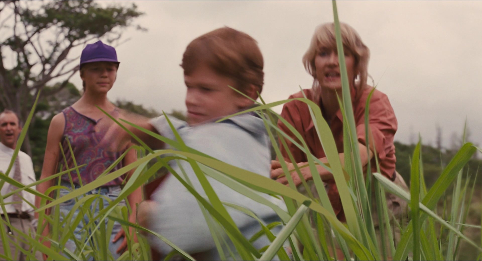 Jurassic Park (1993), wide, 1.85:1 — film still
