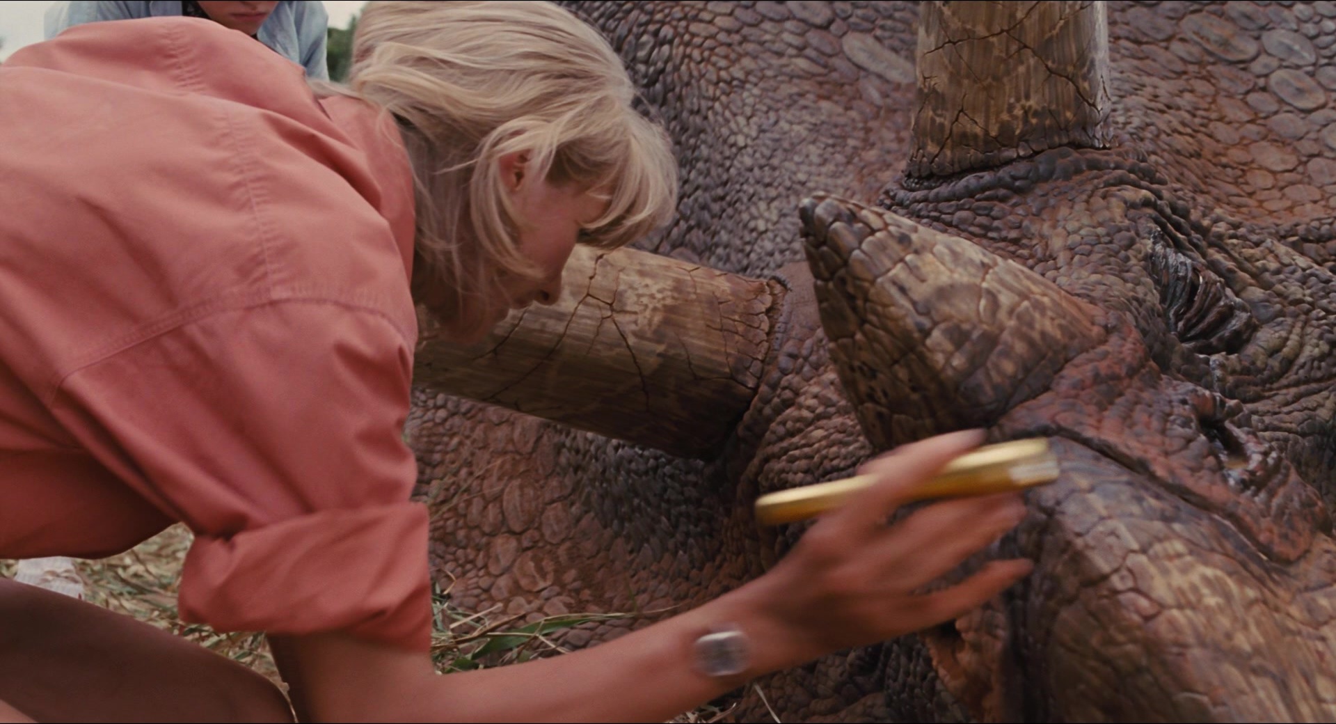 Jurassic Park (1993), unknown, 1.85:1 — film still