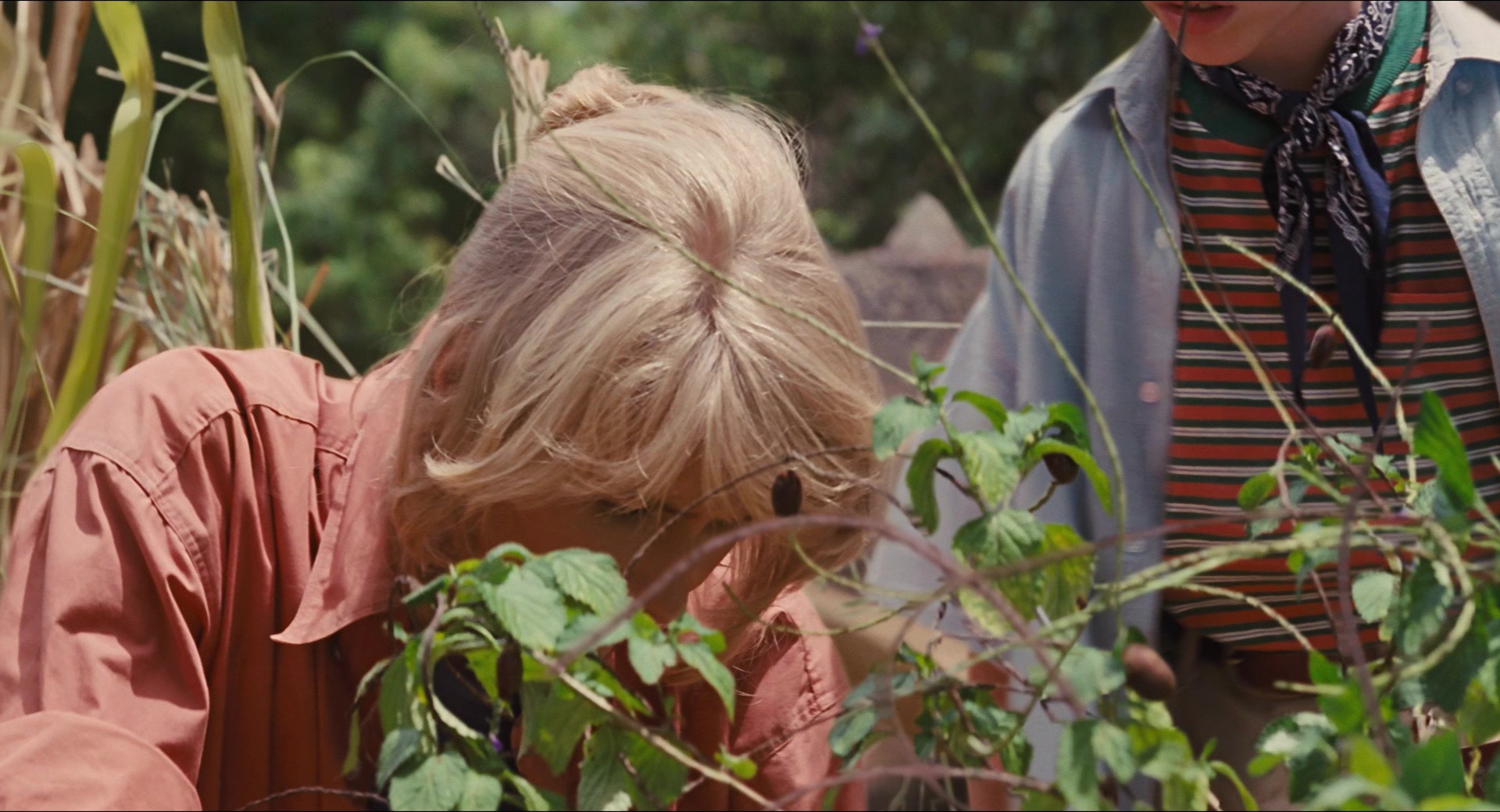Jurassic Park (1993), medium, 1.85:1 — film still