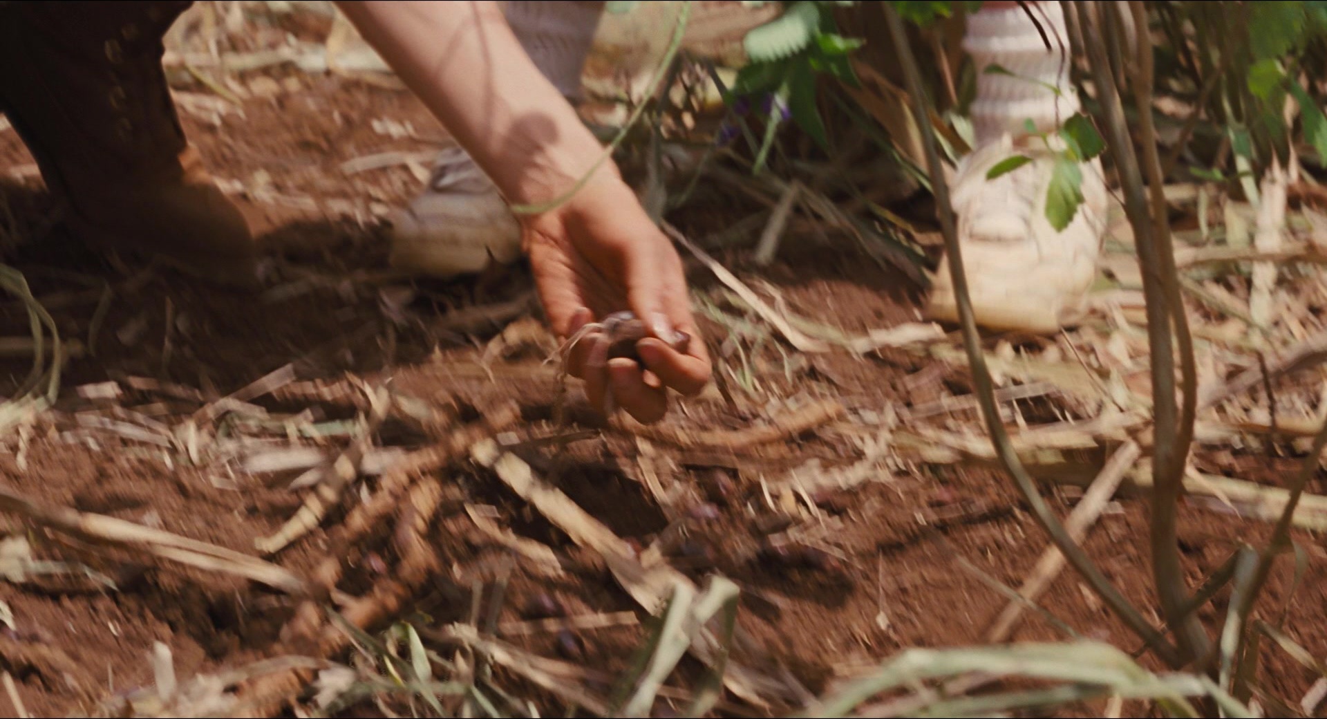 Jurassic Park (1993), wide, 1.85:1 — film still