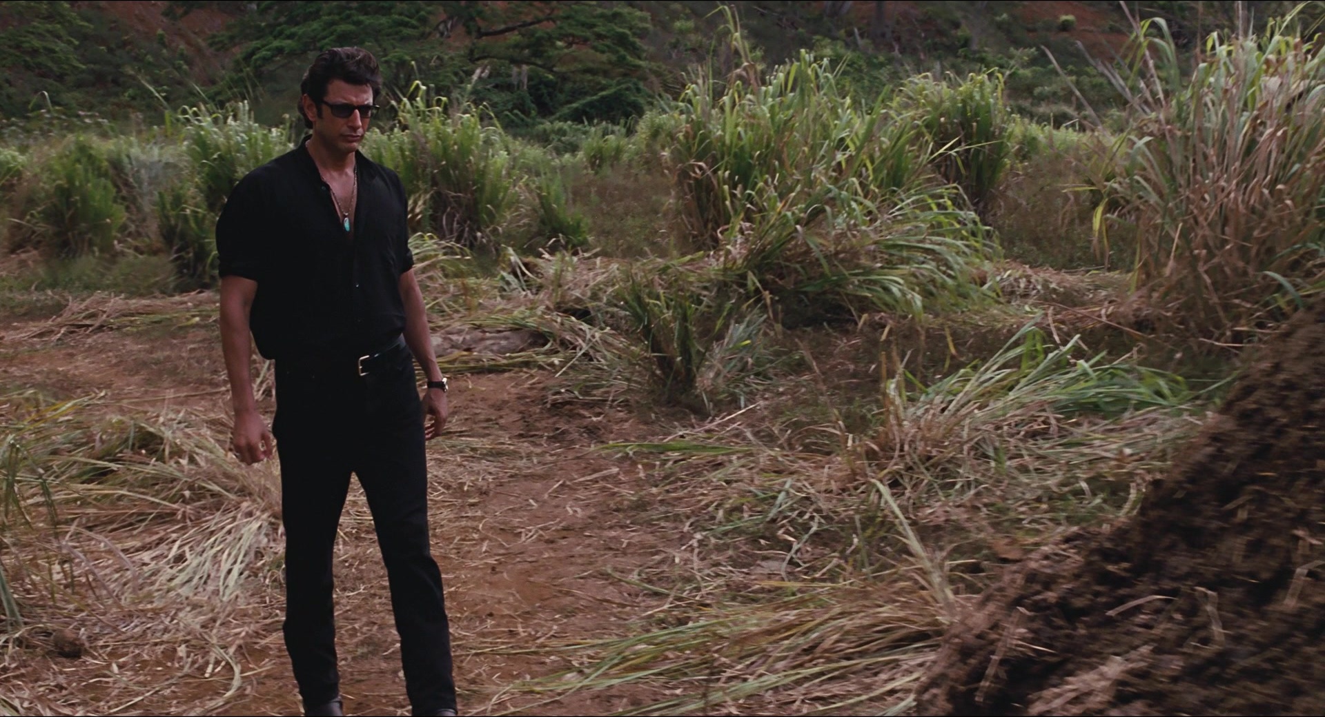 Jurassic Park (1993), wide, 1.85:1 — film still