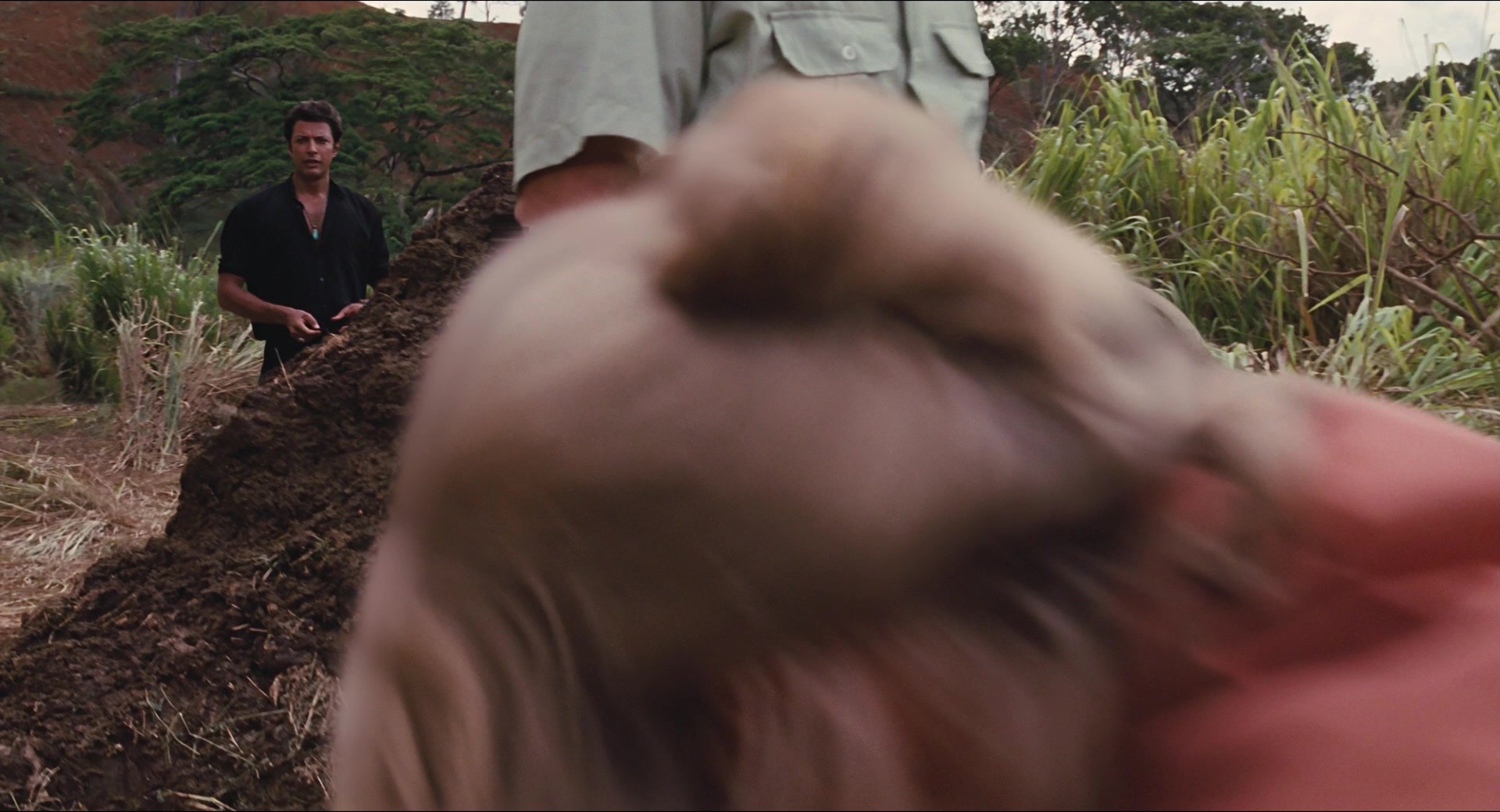 Jurassic Park (1993), wide, 1.85:1 — film still