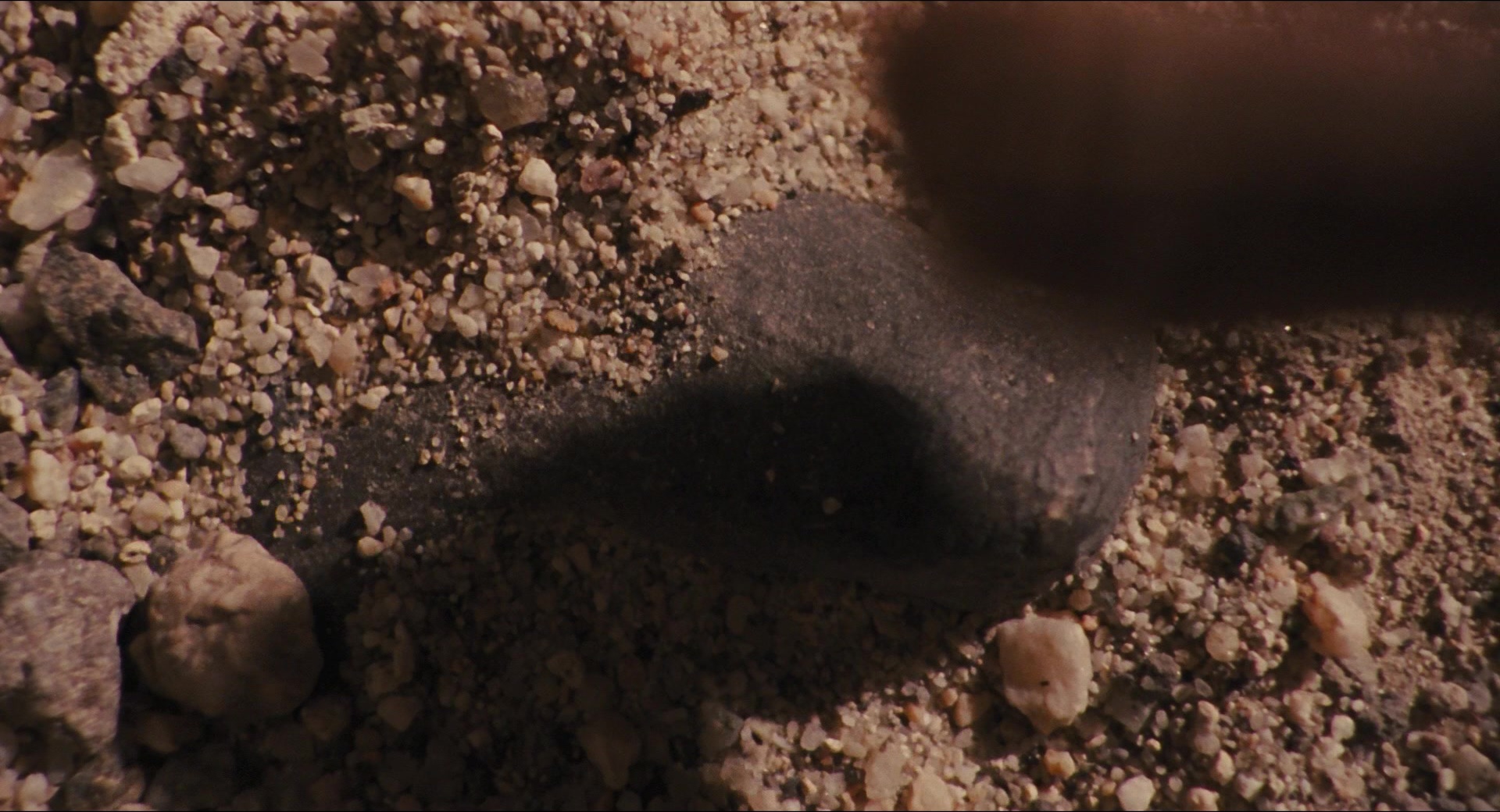 Jurassic Park (1993), wide, 1.85:1 — film still