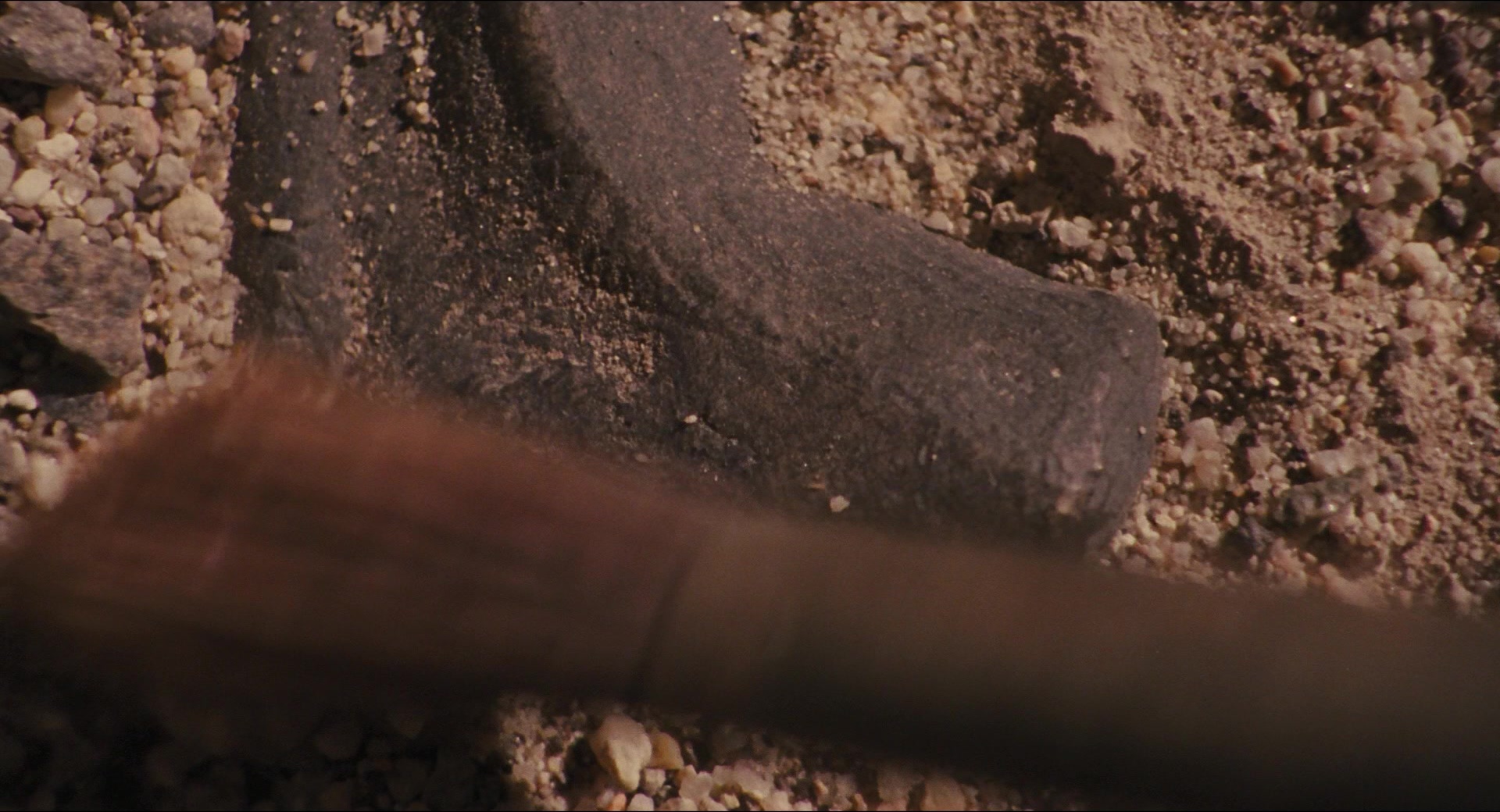 Jurassic Park (1993), wide, 1.85:1 — film still