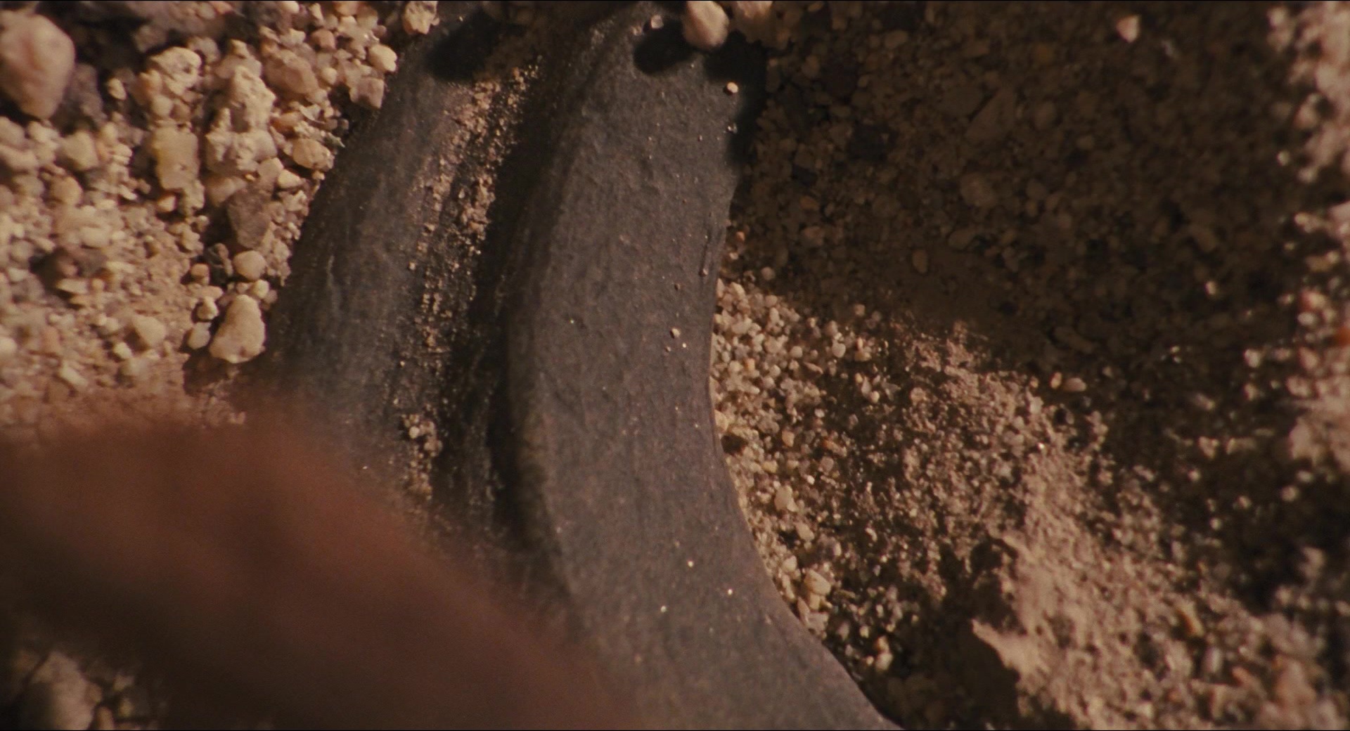 Jurassic Park (1993), wide, 1.85:1 — film still