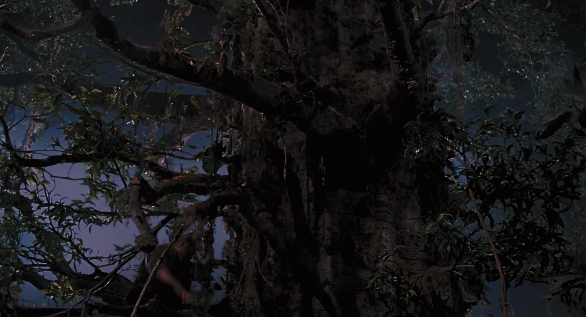 Jurassic Park (1993), wide, 1.85:1 — film still