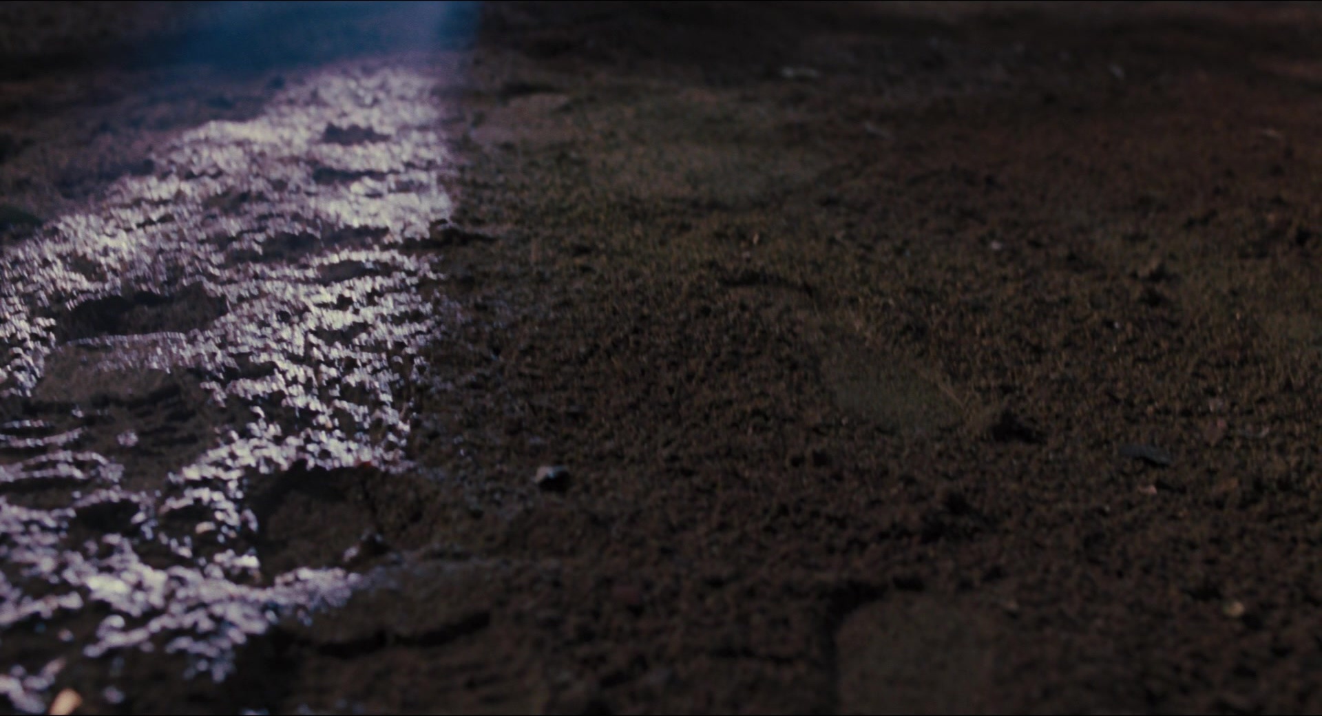 Jurassic Park (1993), wide, 1.85:1 — film still