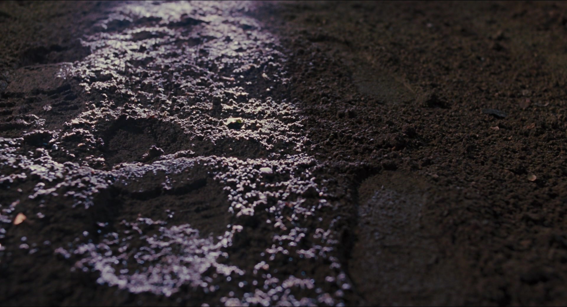Jurassic Park (1993), wide, 1.85:1 — film still