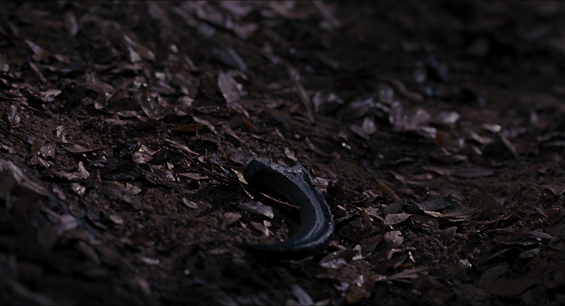 Jurassic Park (1993), wide, 1.85:1 — film still