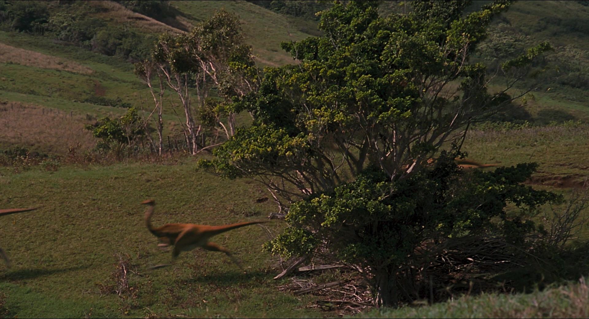 Jurassic Park (1993), unknown, 1.85:1 — film still