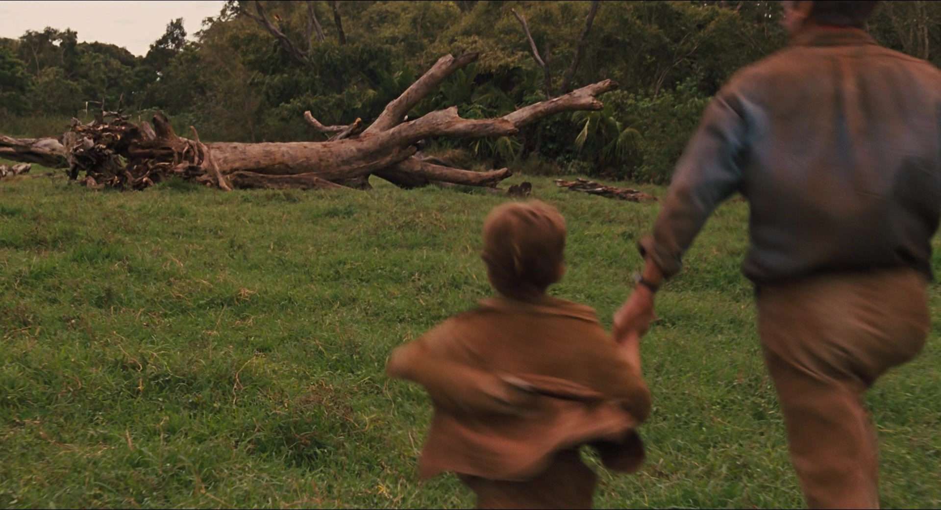 Jurassic Park (1993), wide, 1.85:1 — film still