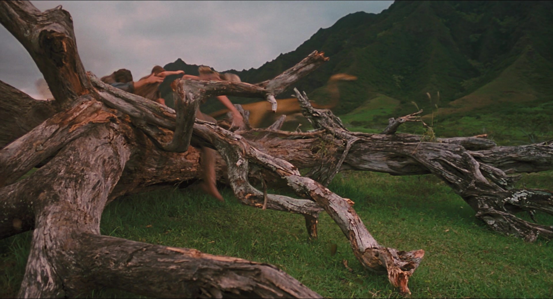 Jurassic Park (1993), medium, 1.85:1 — film still