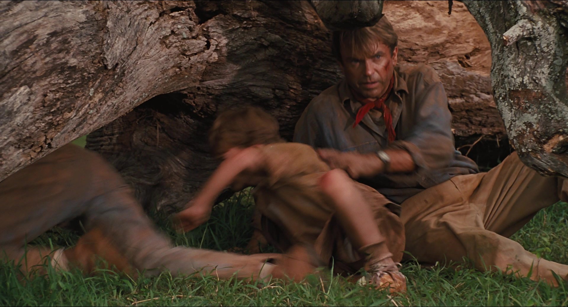 Jurassic Park (1993), wide, 1.85:1 — film still