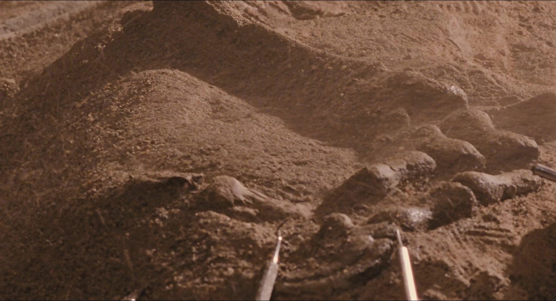 Jurassic Park (1993), wide, 1.85:1 — film still