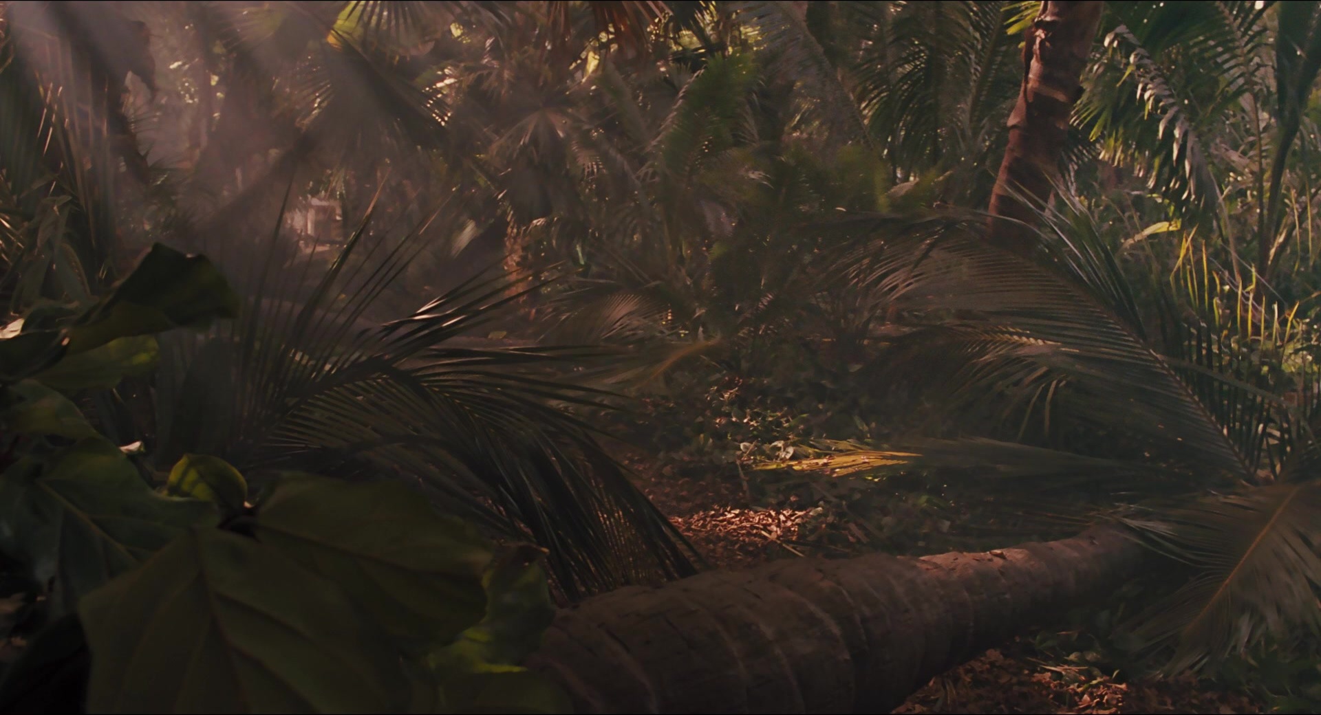 Jurassic Park (1993), wide, 1.85:1 — film still