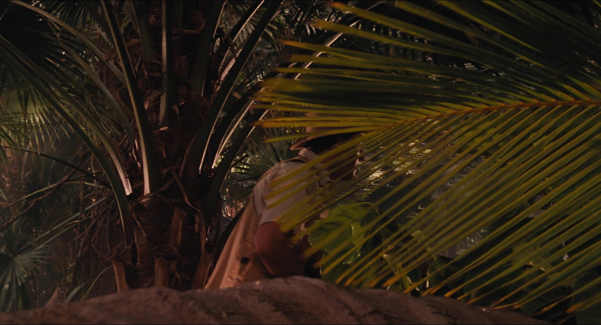 Jurassic Park (1993), unknown, 1.85:1 — film still