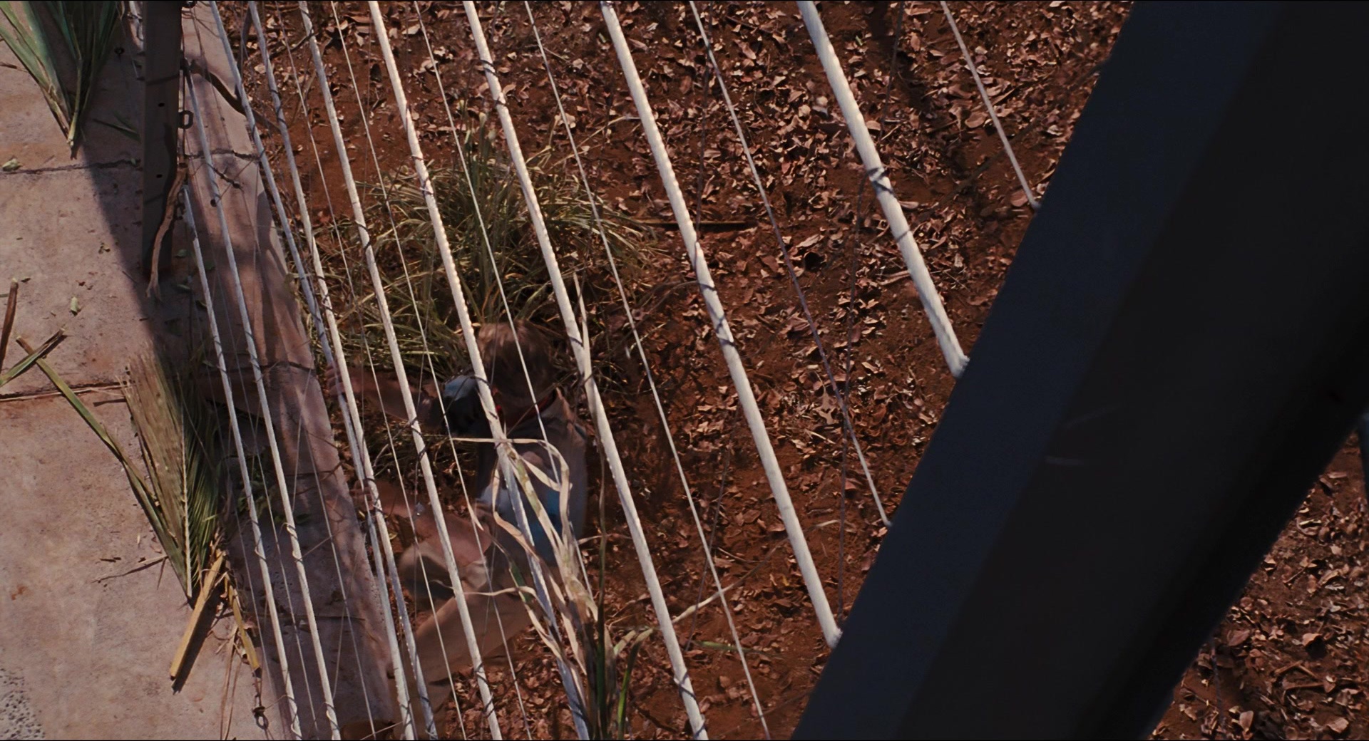 Jurassic Park (1993), wide, 1.85:1 — film still