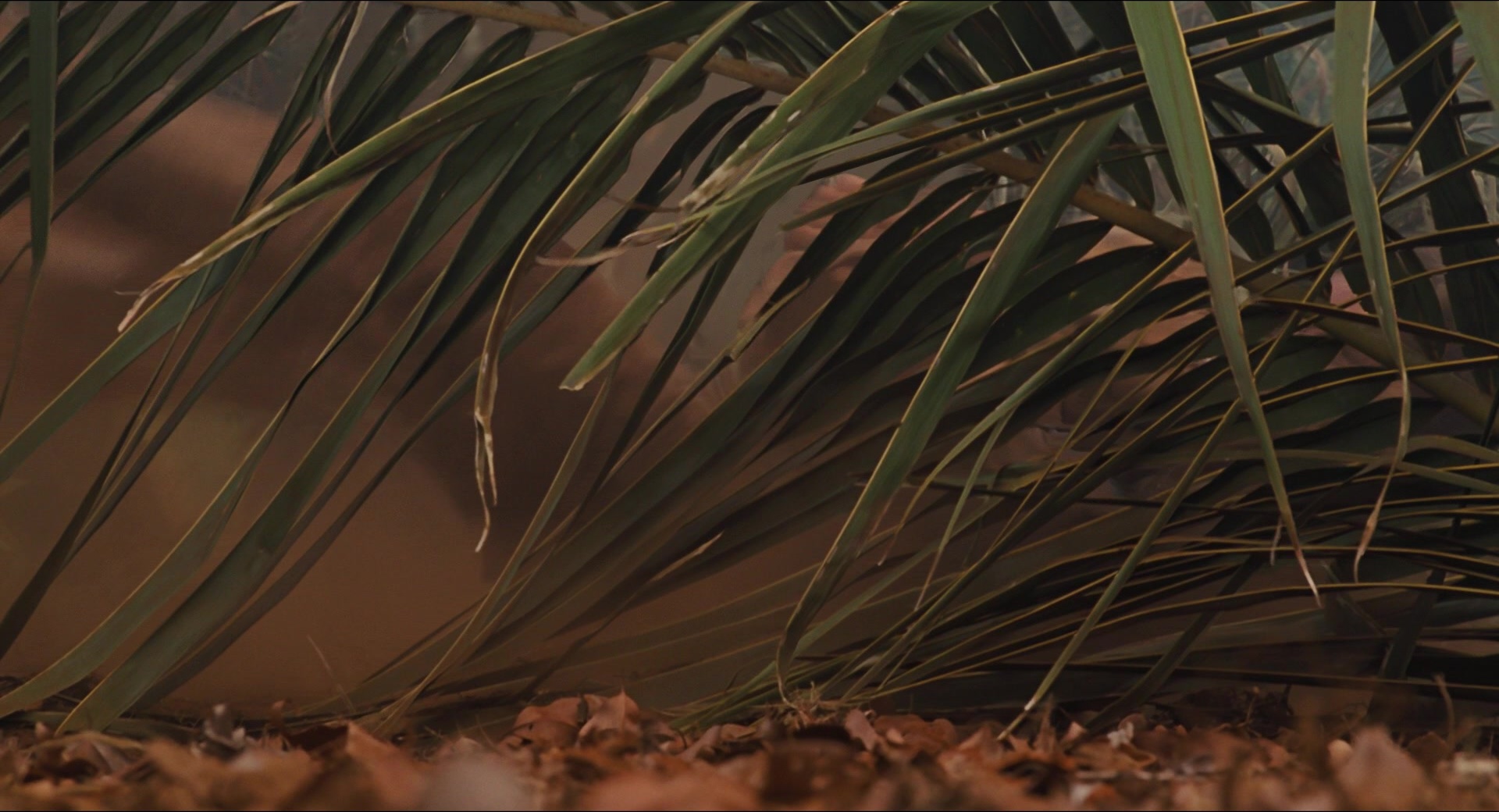 Jurassic Park (1993), unknown, 1.85:1 — film still