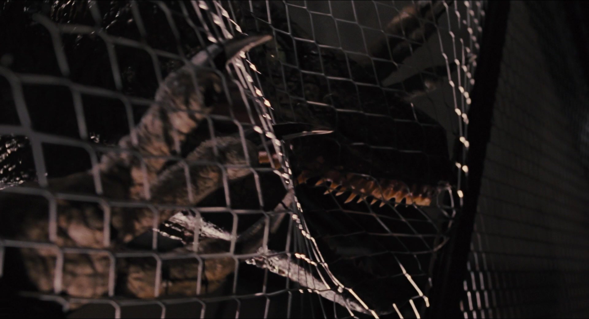 Jurassic Park (1993), wide, 1.85:1 — film still