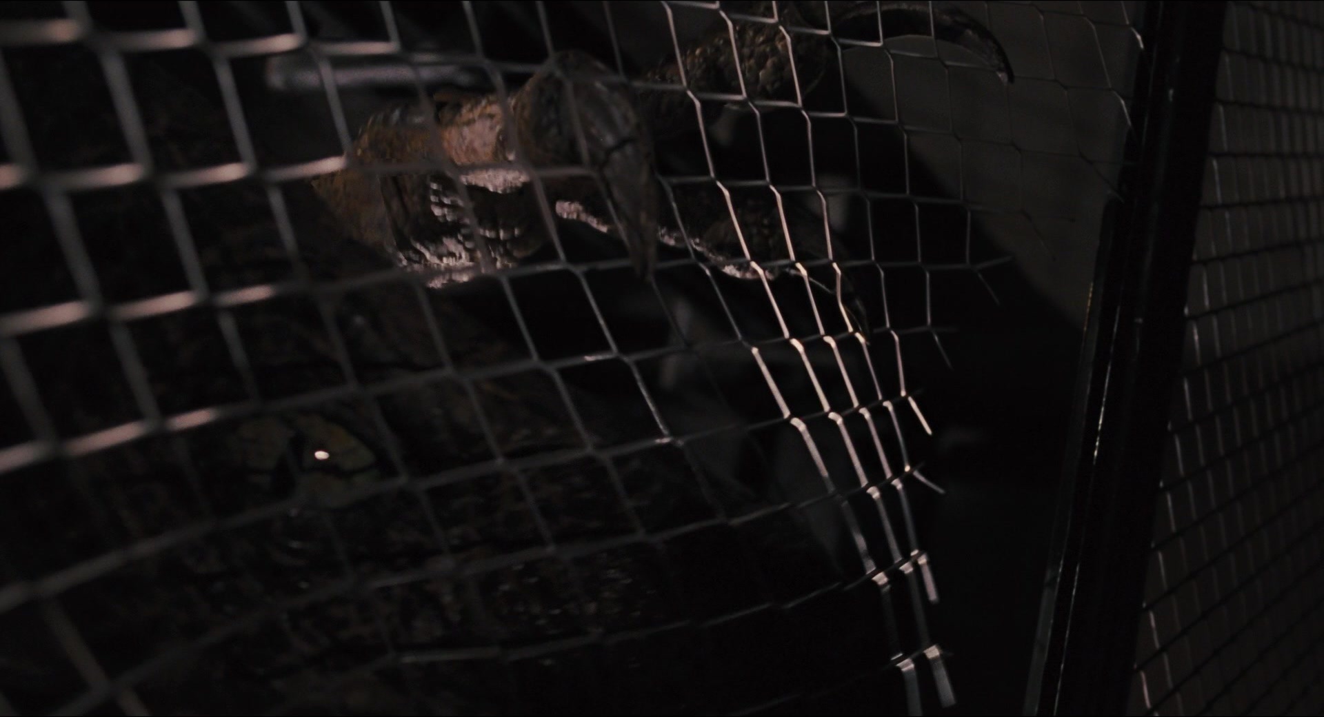 Jurassic Park (1993), wide, 1.85:1 — film still