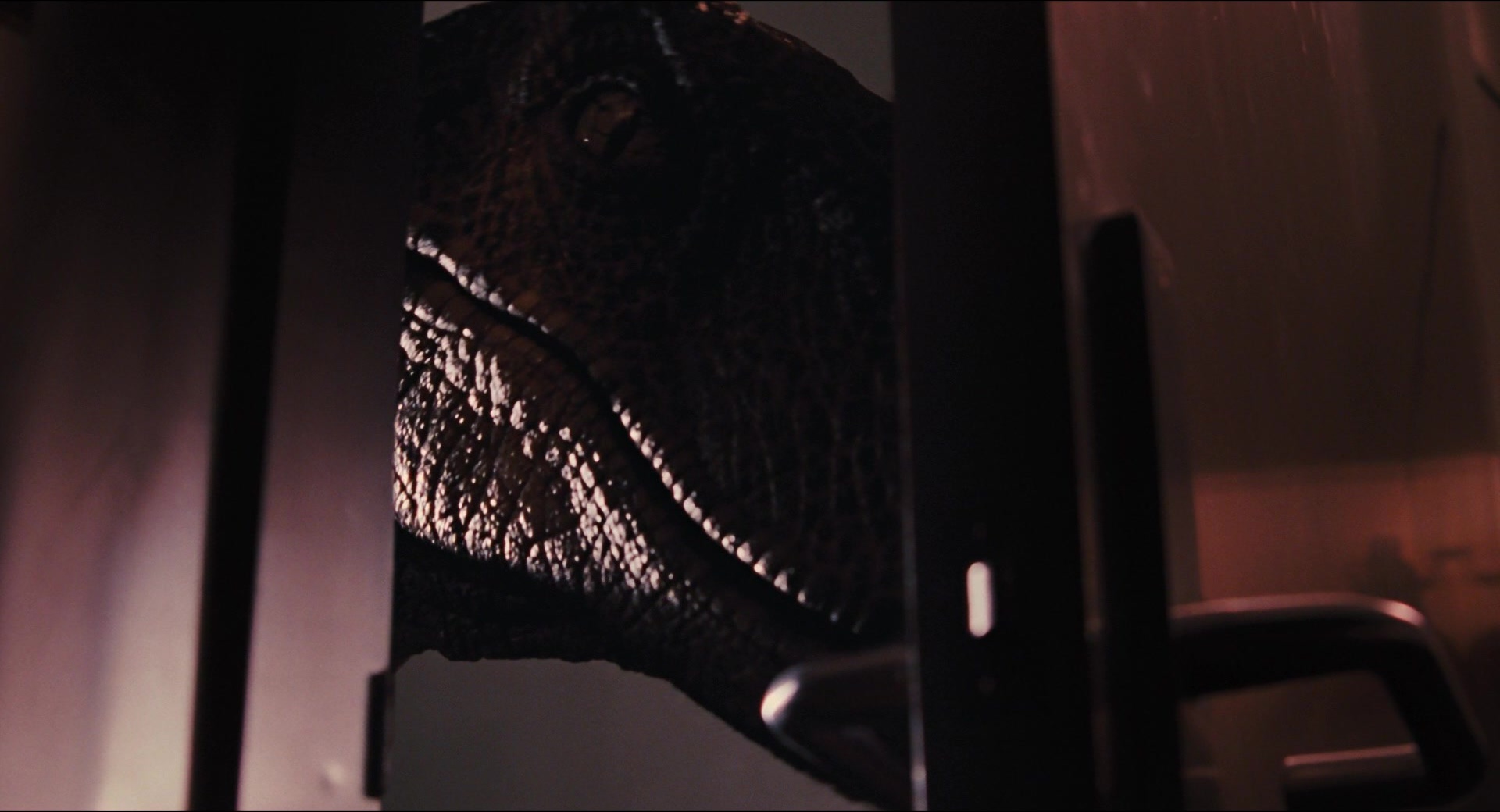 Jurassic Park (1993), wide, 1.85:1 — film still