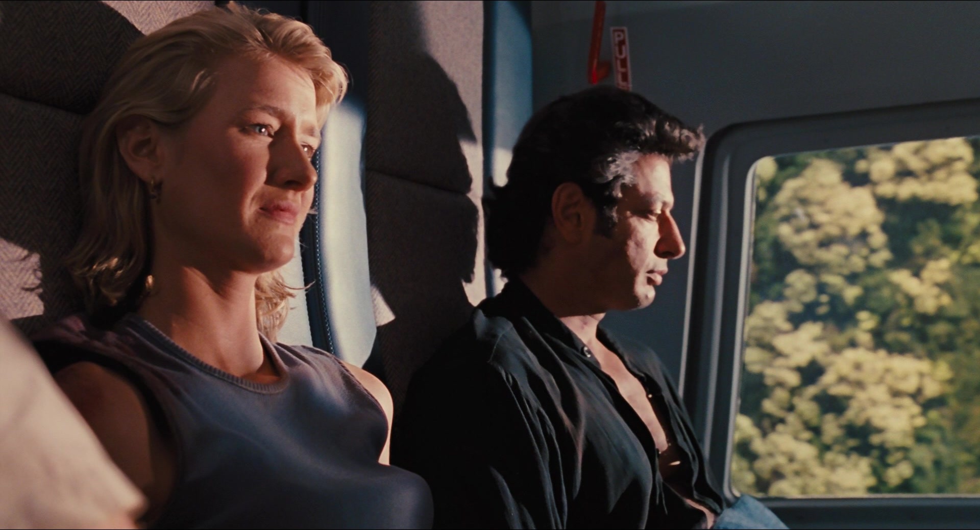 Jurassic Park (1993), wide, 1.85:1 — film still