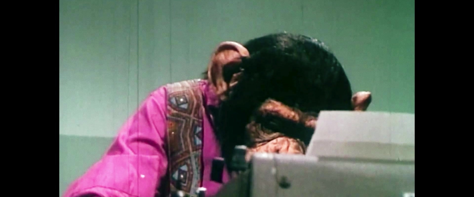 The Persian Version (2023), unknown, 2.40:1 — film still